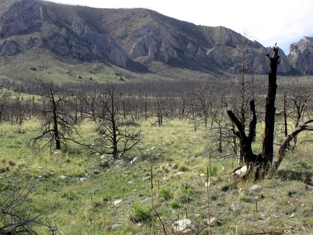 Nhn Ranger Way Red Lodge MT 59068