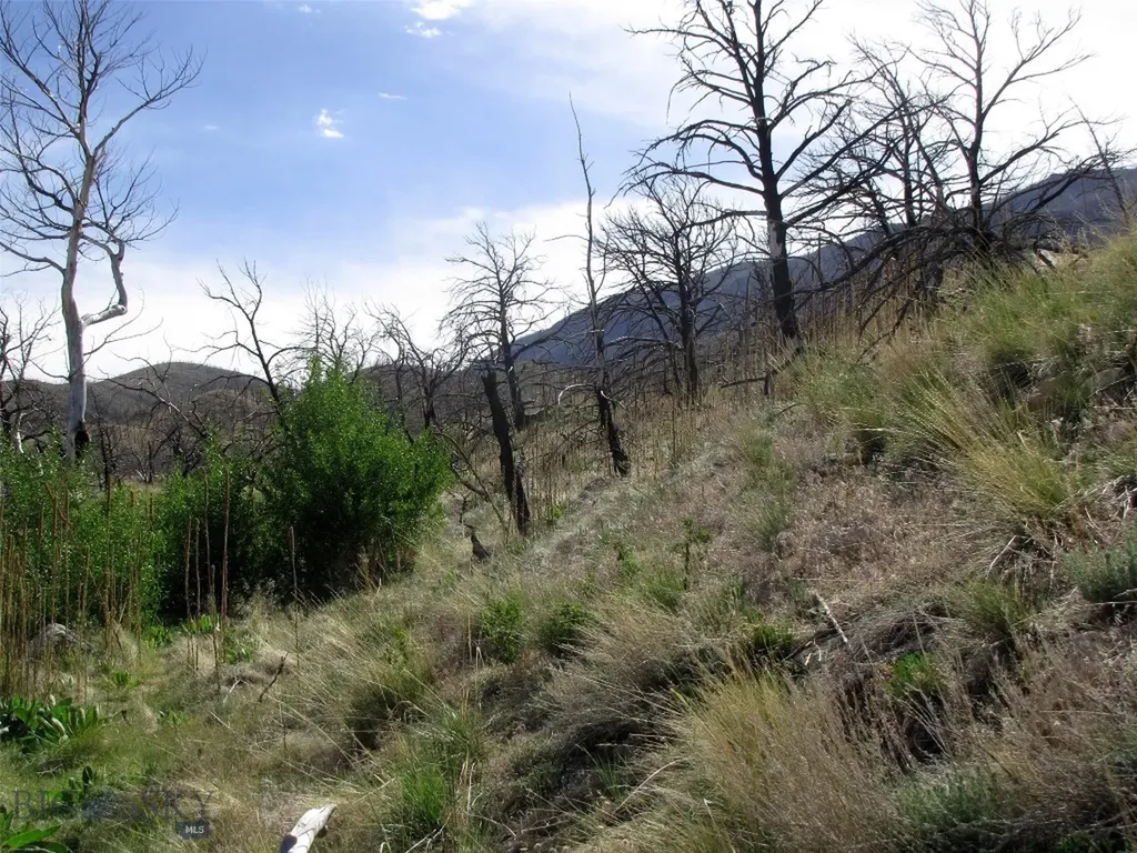Nhn Ranger Way Red Lodge MT 59068