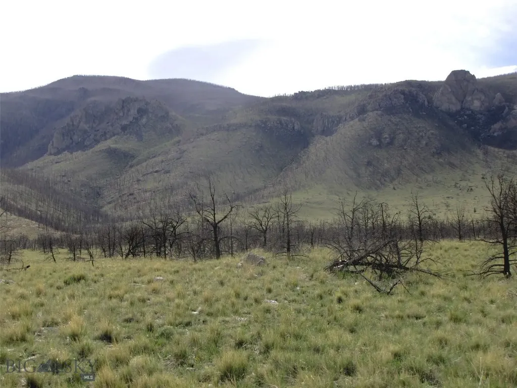 Nhn Ranger Way Red Lodge MT 59068
