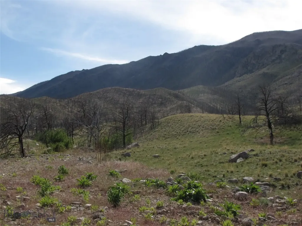 Nhn Ranger Way Red Lodge MT 59068