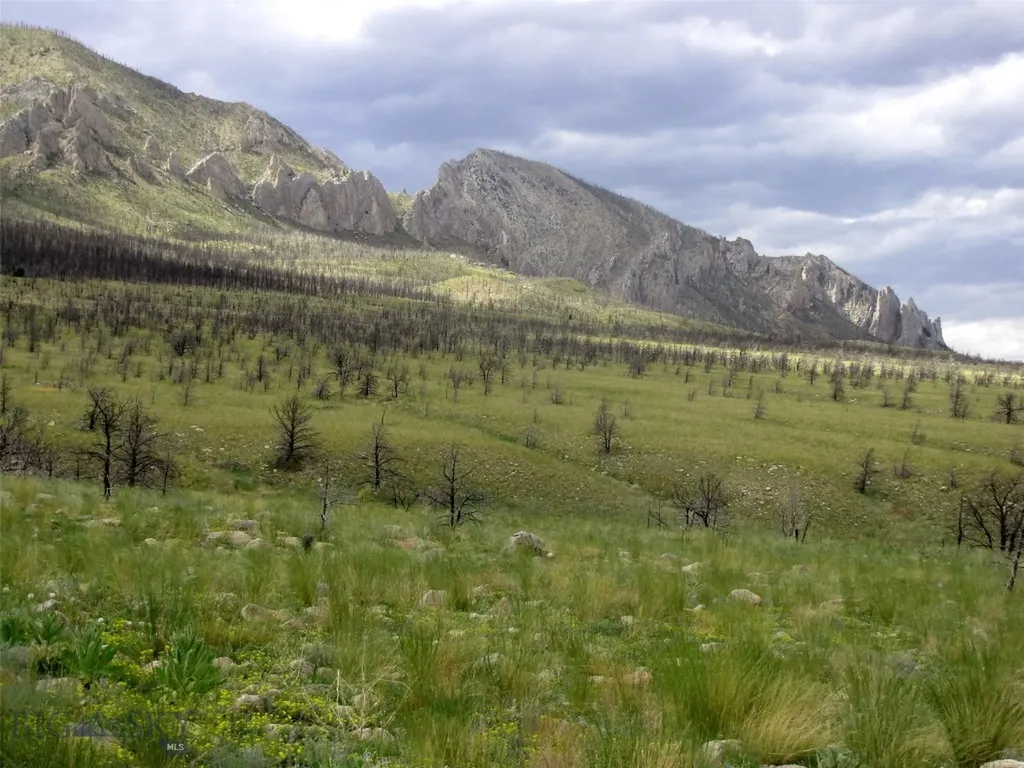 Nhn Ranger Way Red Lodge MT 59068