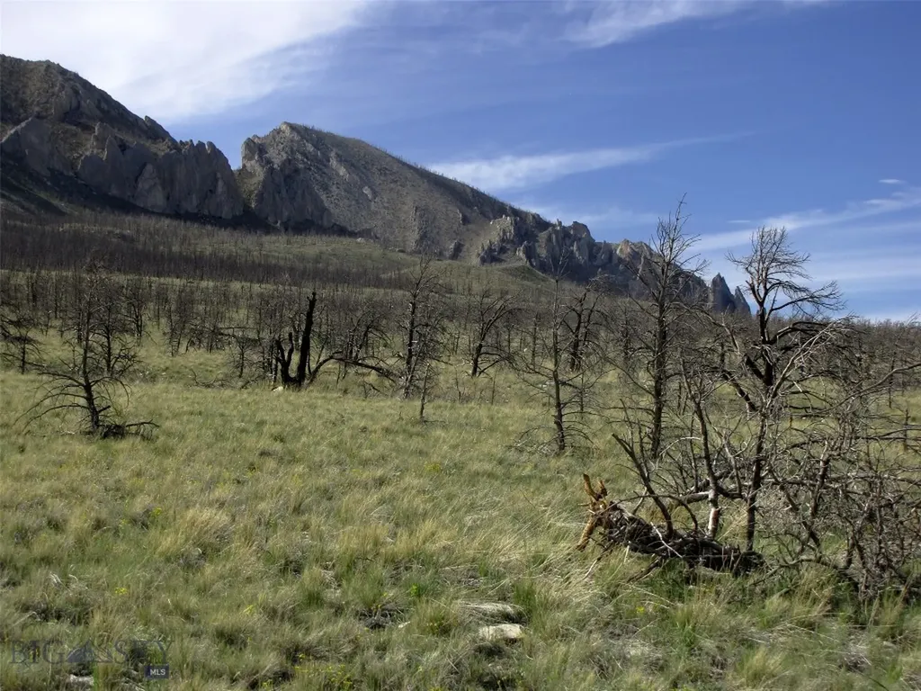 Nhn Ranger Way Red Lodge MT 59068
