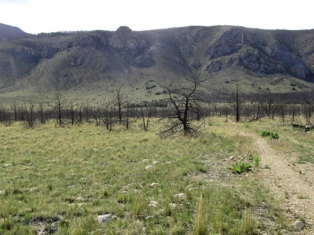 Nhn Ranger Way Red Lodge MT 59068