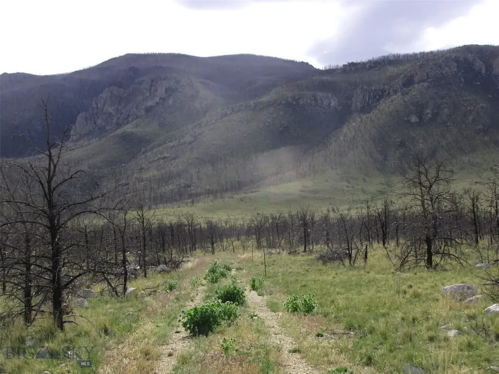 Nhn Ranger Way Red Lodge MT 59068