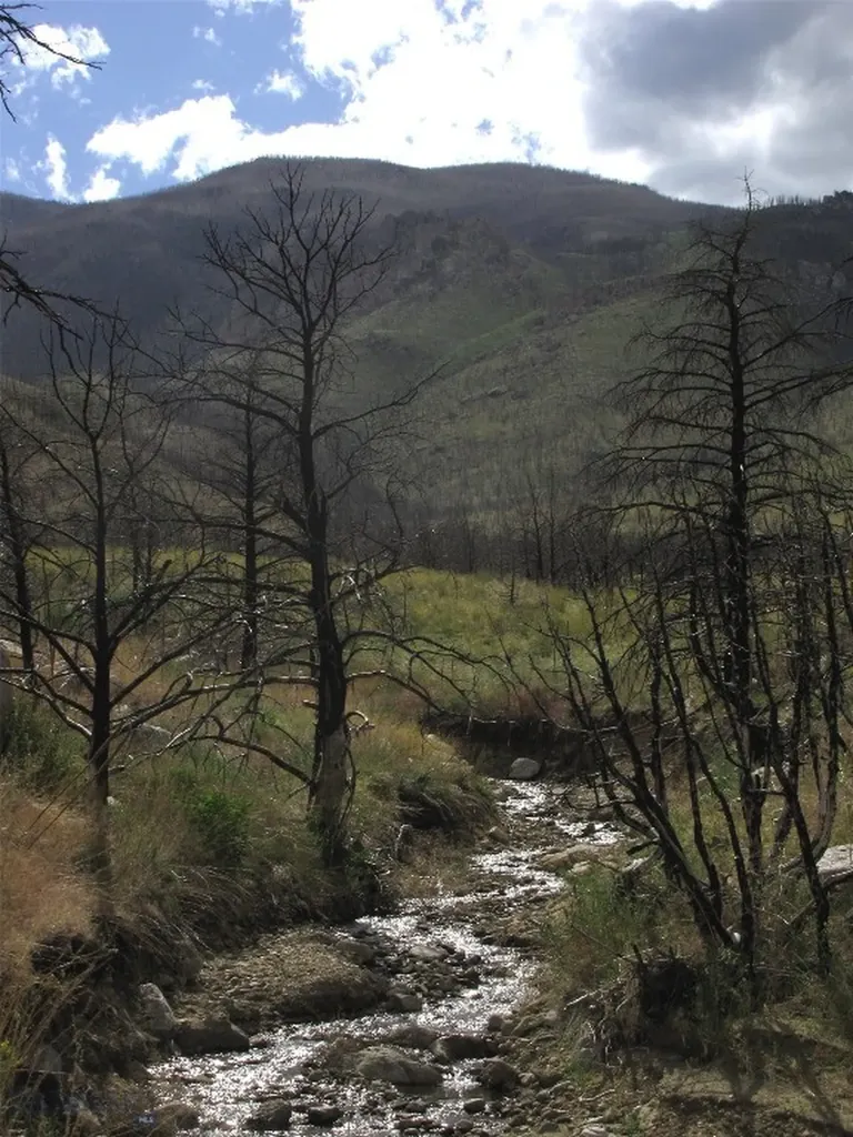 Nhn Ranger Way Red Lodge MT 59068