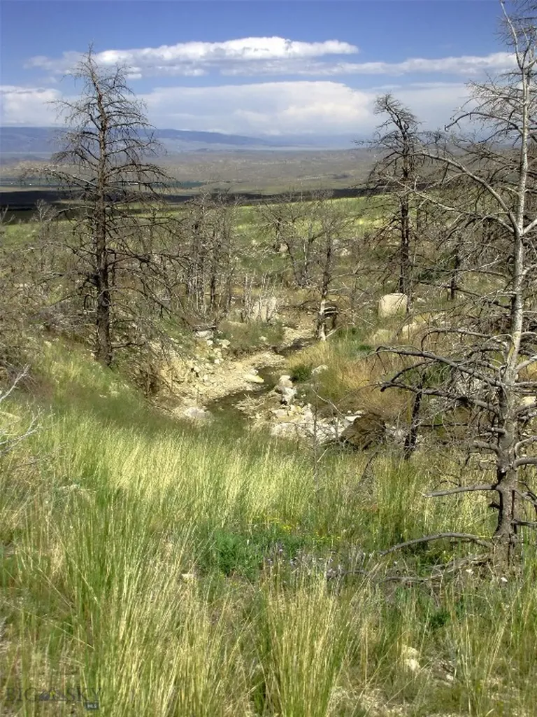 Nhn Ranger Way Red Lodge MT 59068