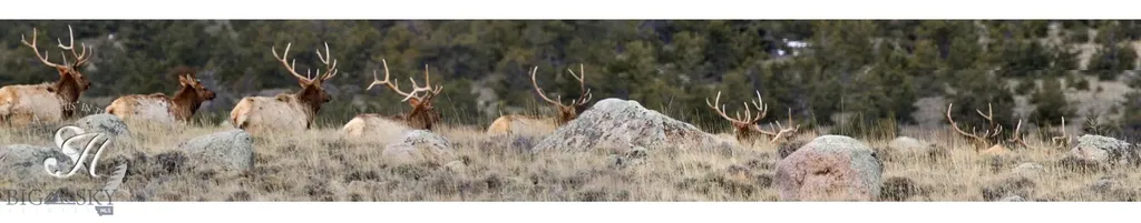 Nhn Ranger Way Red Lodge MT 59068