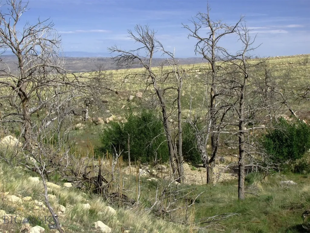 Nhn Ranger Way Red Lodge MT 59068