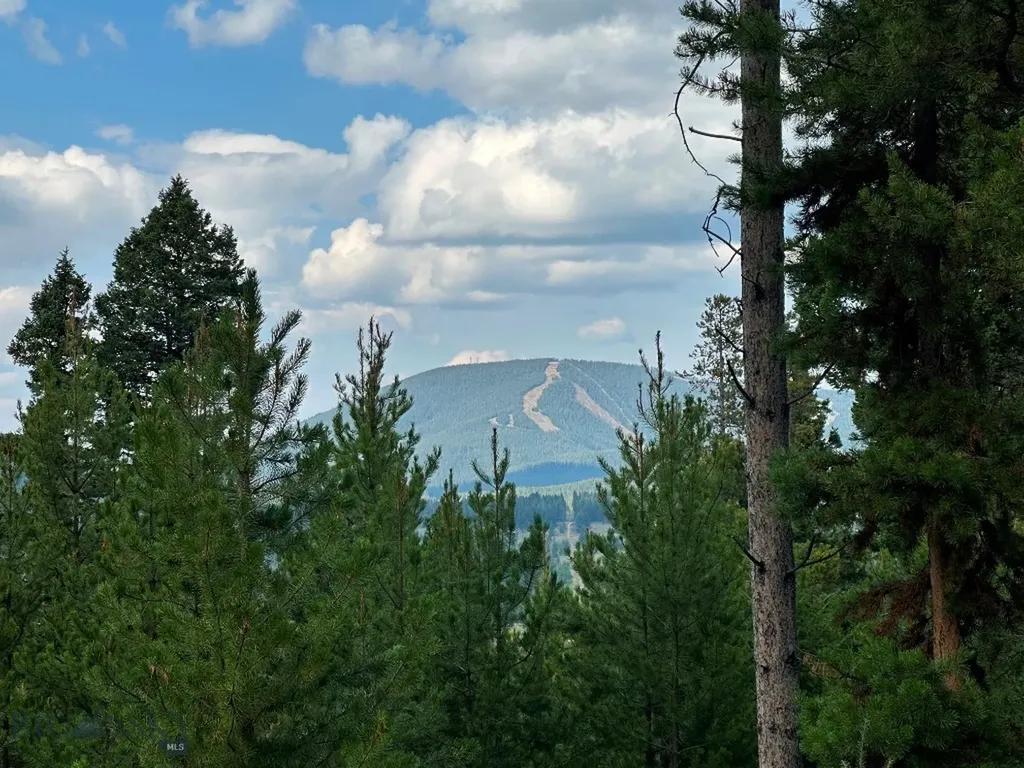 13 Discovery View Lane Anaconda MT 59711