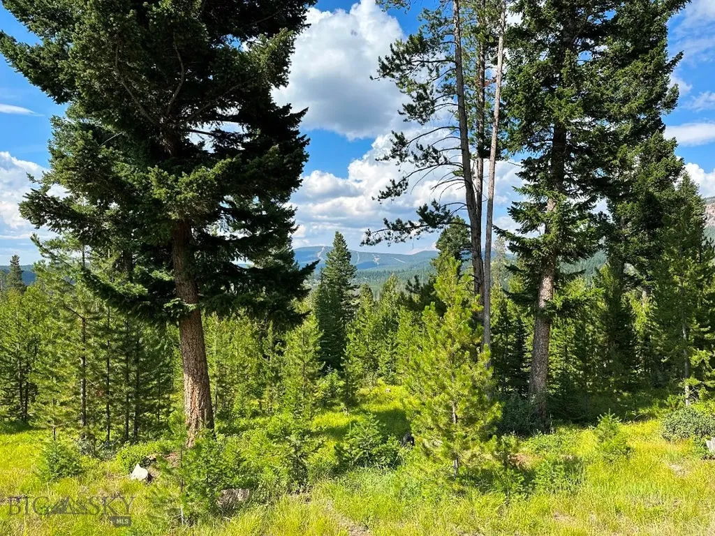 13 Discovery View Lane Anaconda MT 59711