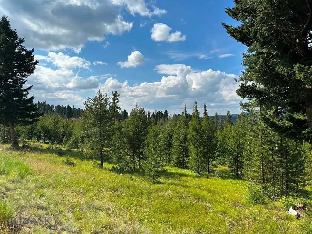 13 Discovery View Lane Anaconda MT 59711