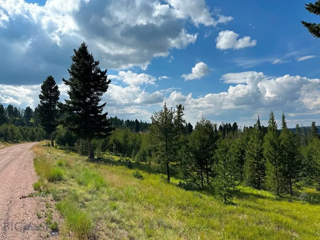 13 Discovery View Lane Anaconda MT 59711