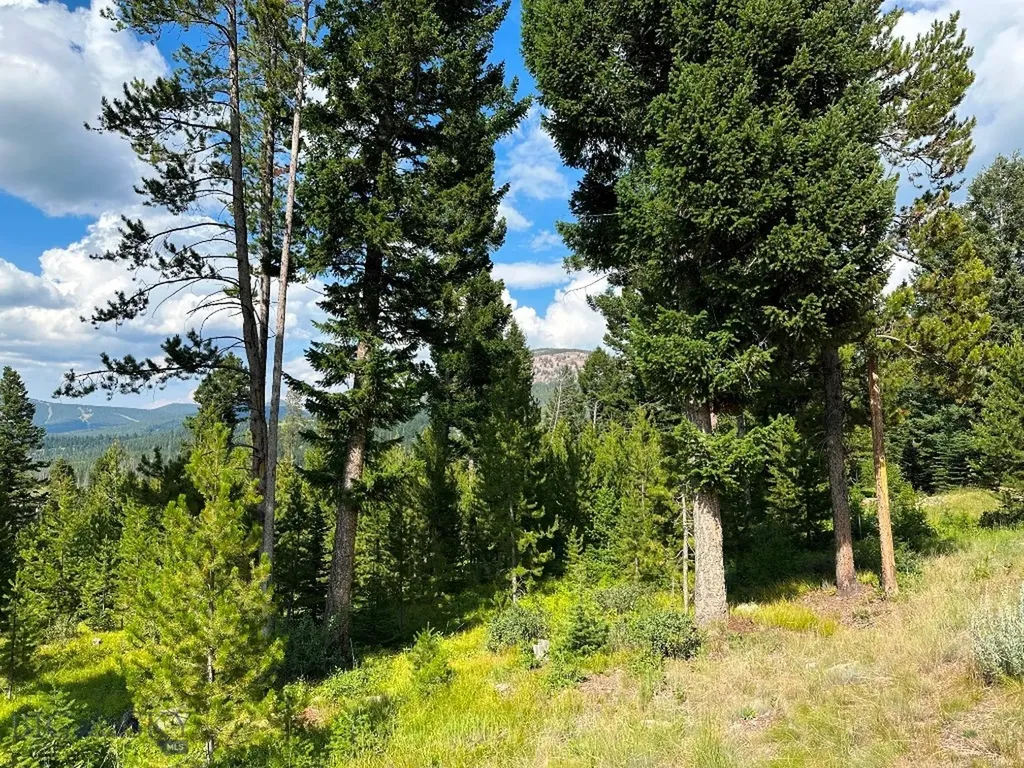 13 Discovery View Lane Anaconda MT 59711