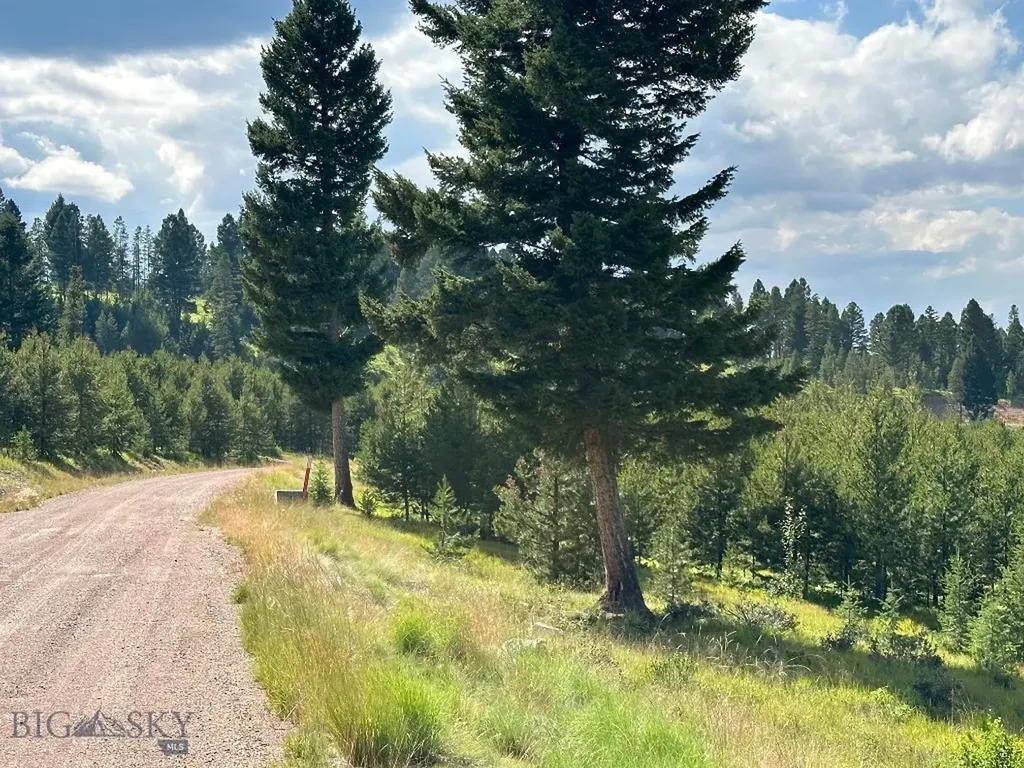 13 Discovery View Lane Anaconda MT 59711