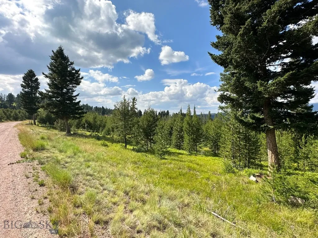 13 Discovery View Lane Anaconda MT 59711