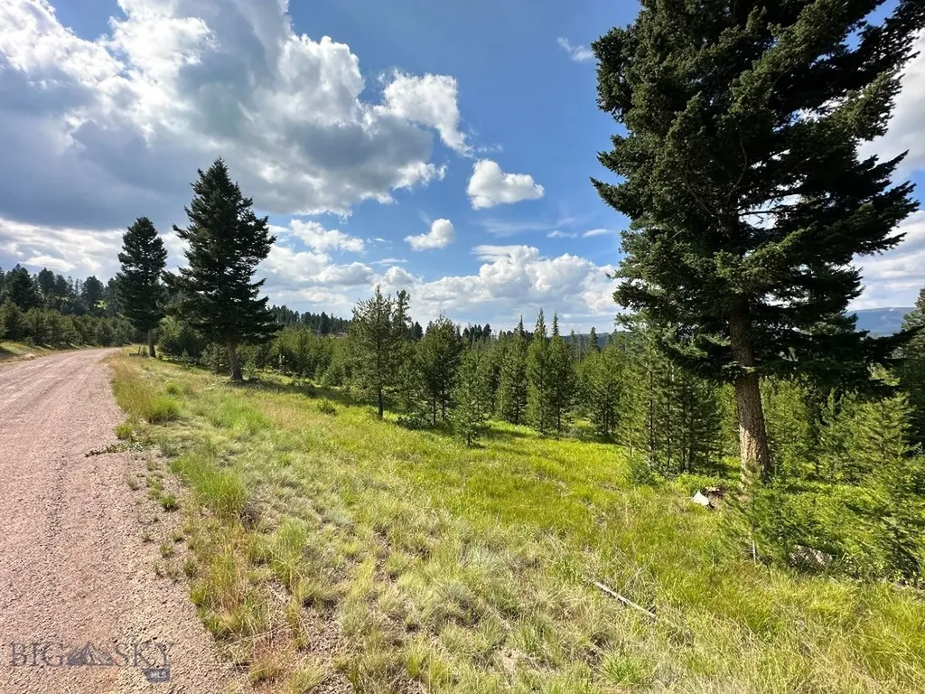13 Discovery View Lane Anaconda MT 59711