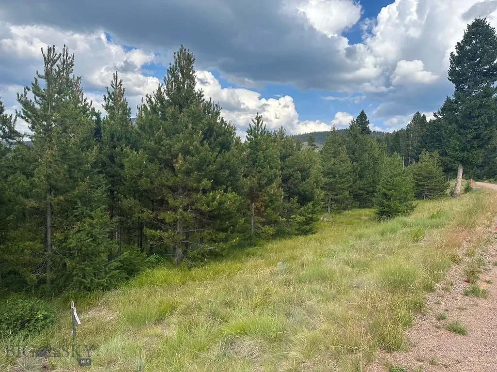 13 Discovery View Lane Anaconda MT 59711