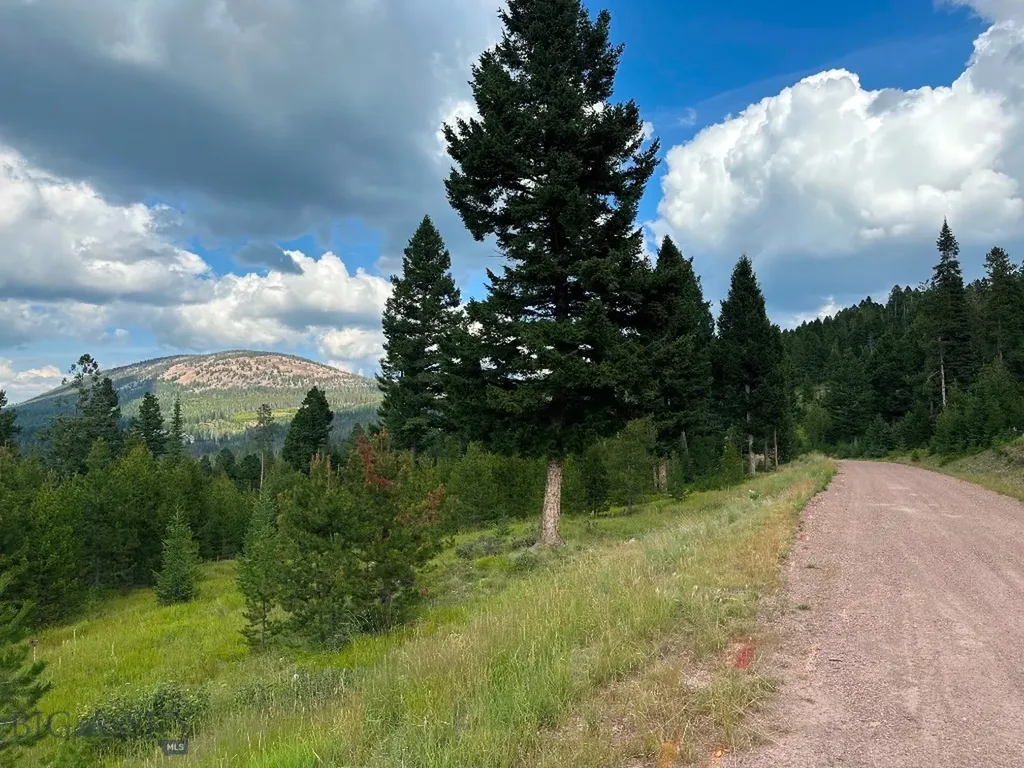 13 Discovery View Lane Anaconda MT 59711