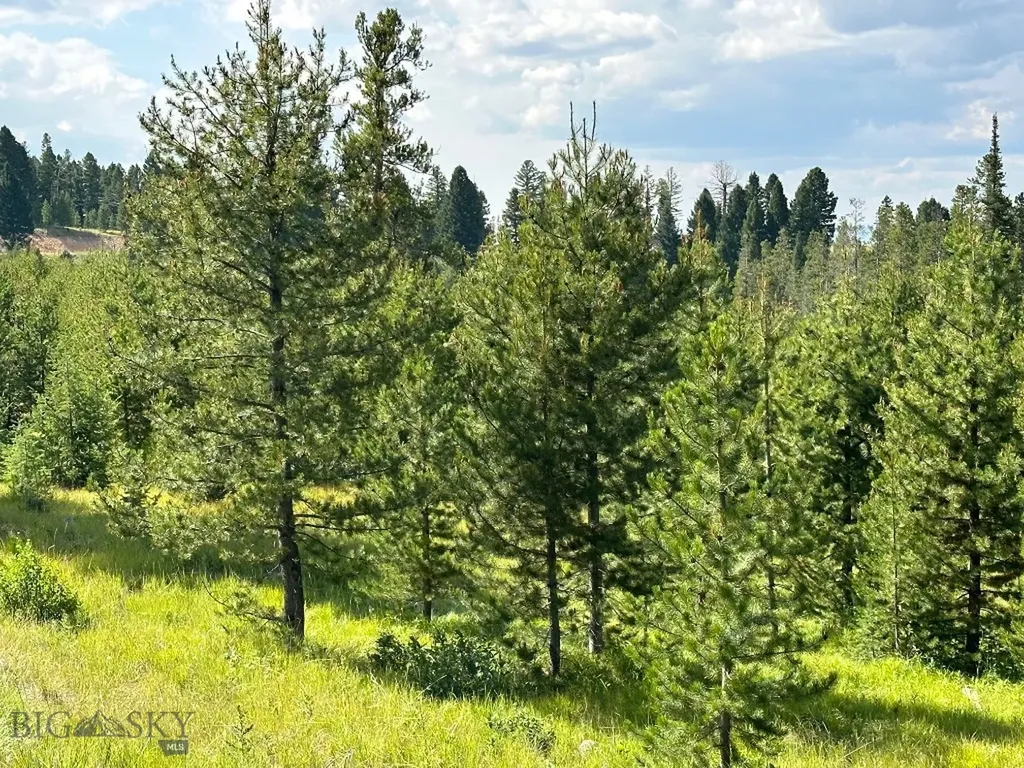 13 Discovery View Lane Anaconda MT 59711
