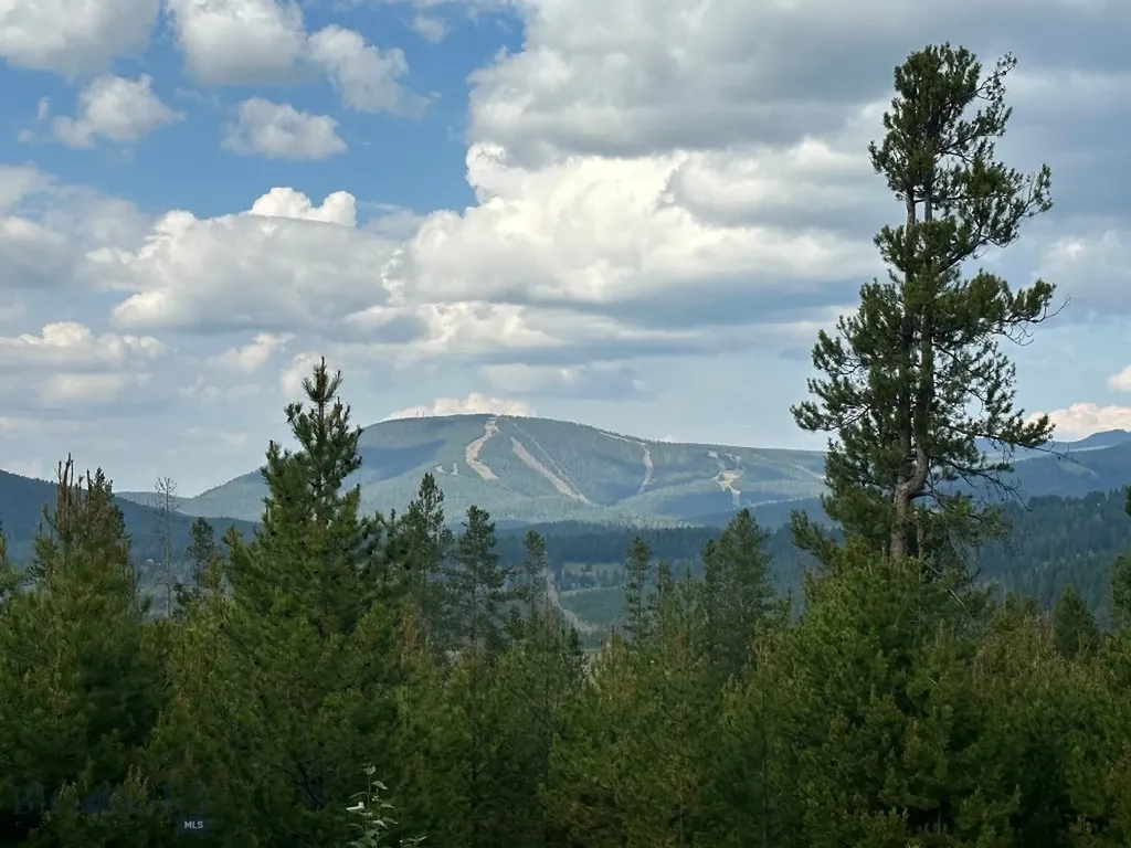 13 Discovery View Lane Anaconda MT 59711