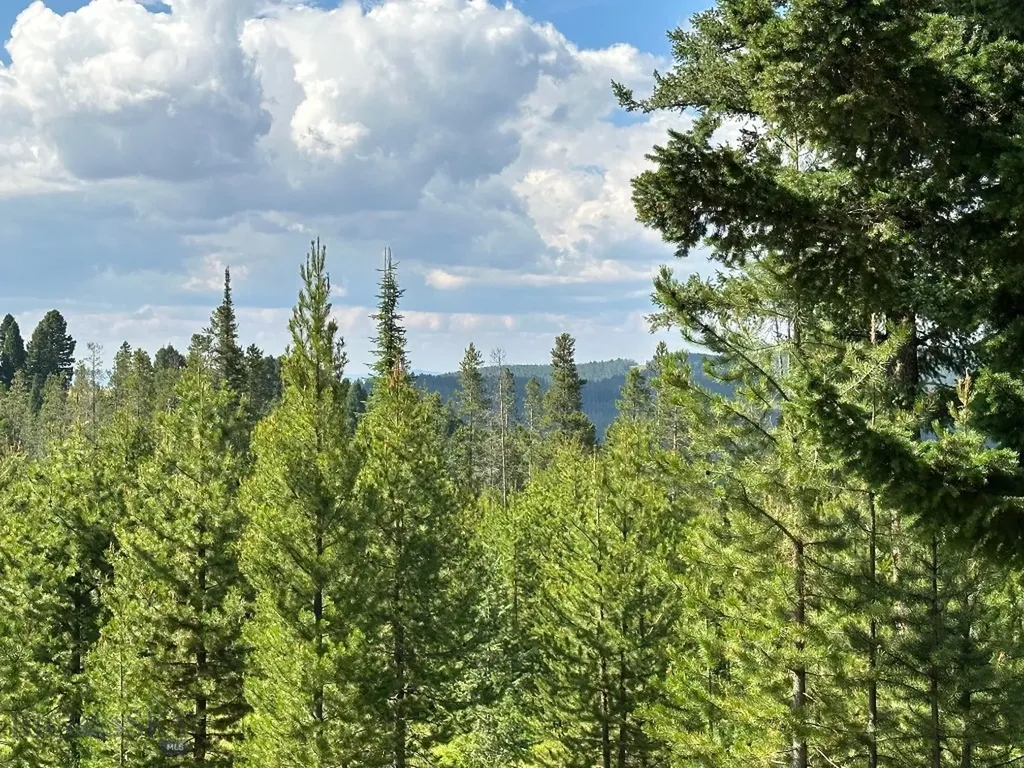 13 Discovery View Lane Anaconda MT 59711