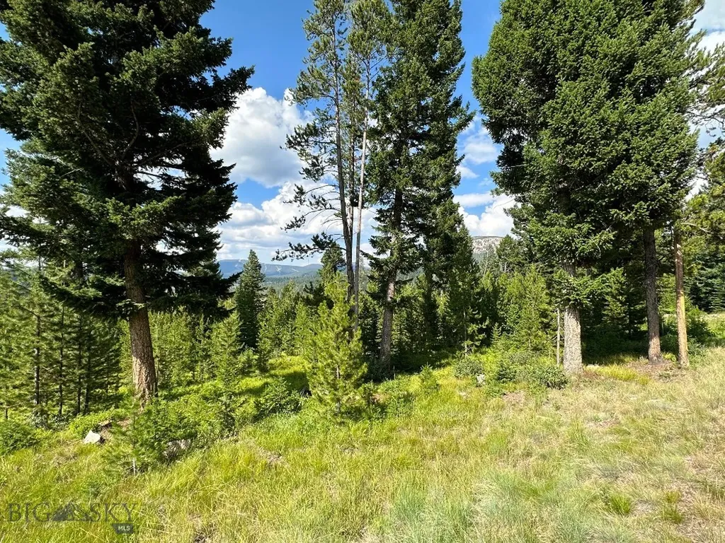 13 Discovery View Lane Anaconda MT 59711