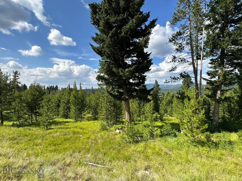 13 Discovery View Lane Anaconda MT 59711