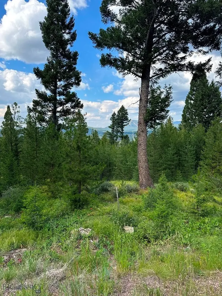13 Discovery View Lane Anaconda MT 59711