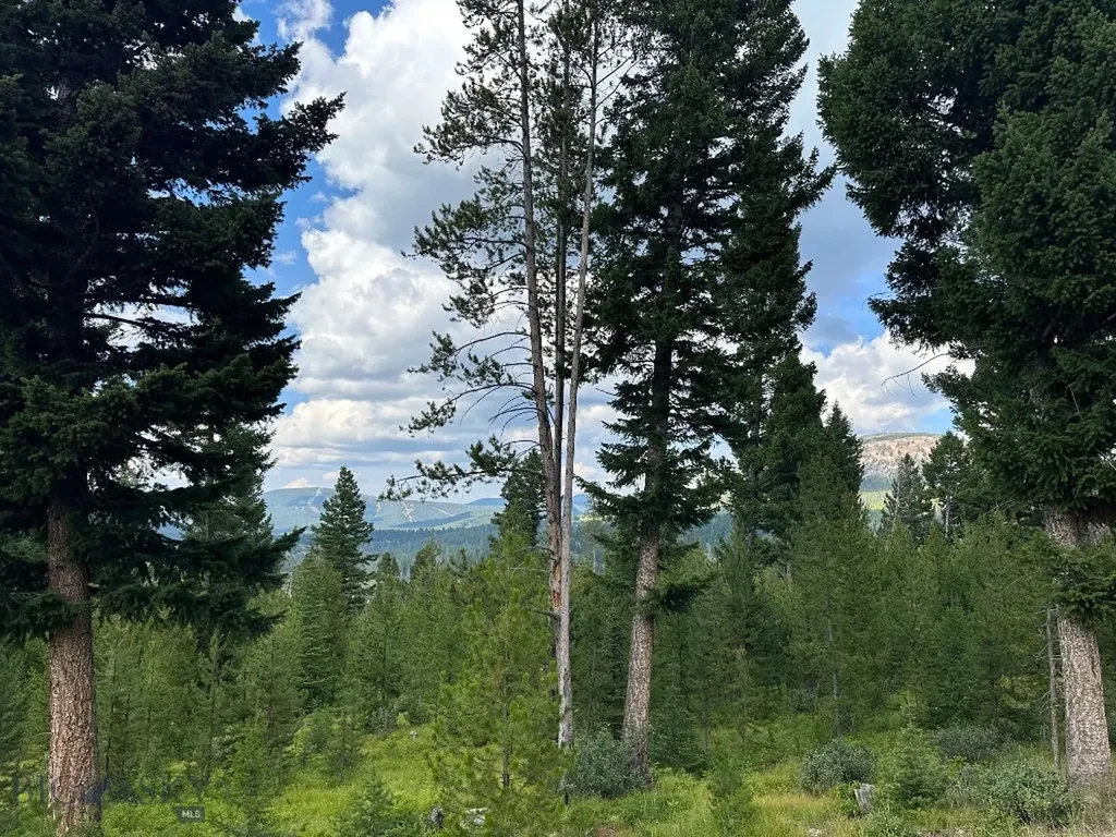 13 Discovery View Lane Anaconda MT 59711