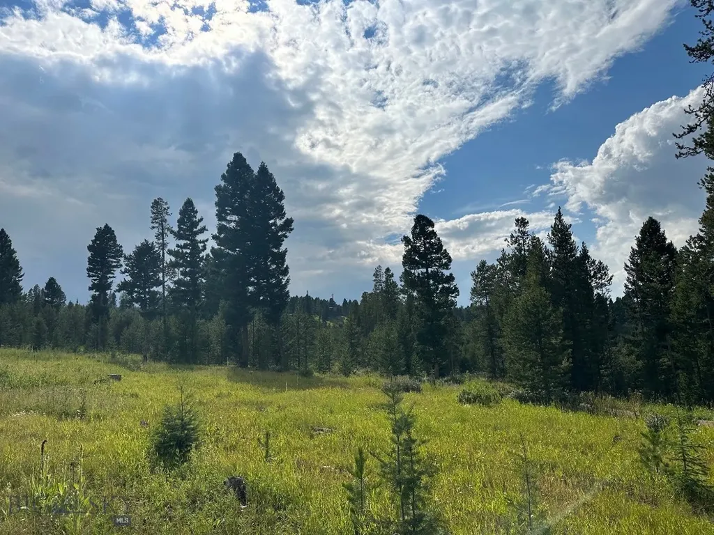 13 Discovery View Lane Anaconda MT 59711