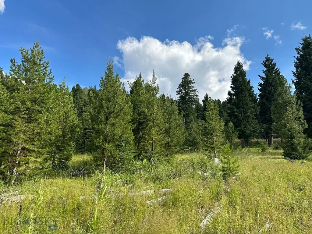 13 Discovery View Lane Anaconda MT 59711