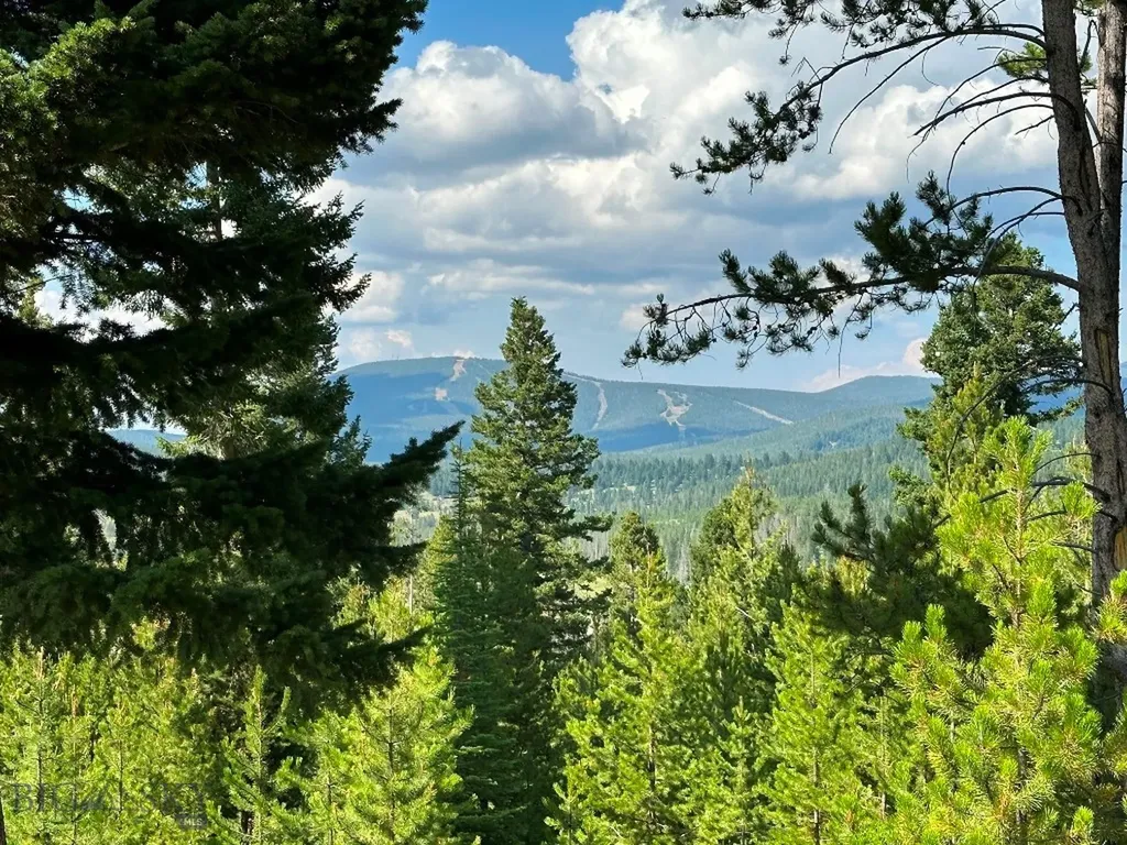 13 Discovery View Lane Anaconda MT 59711