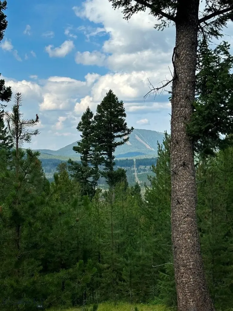 13 Discovery View Lane Anaconda MT 59711