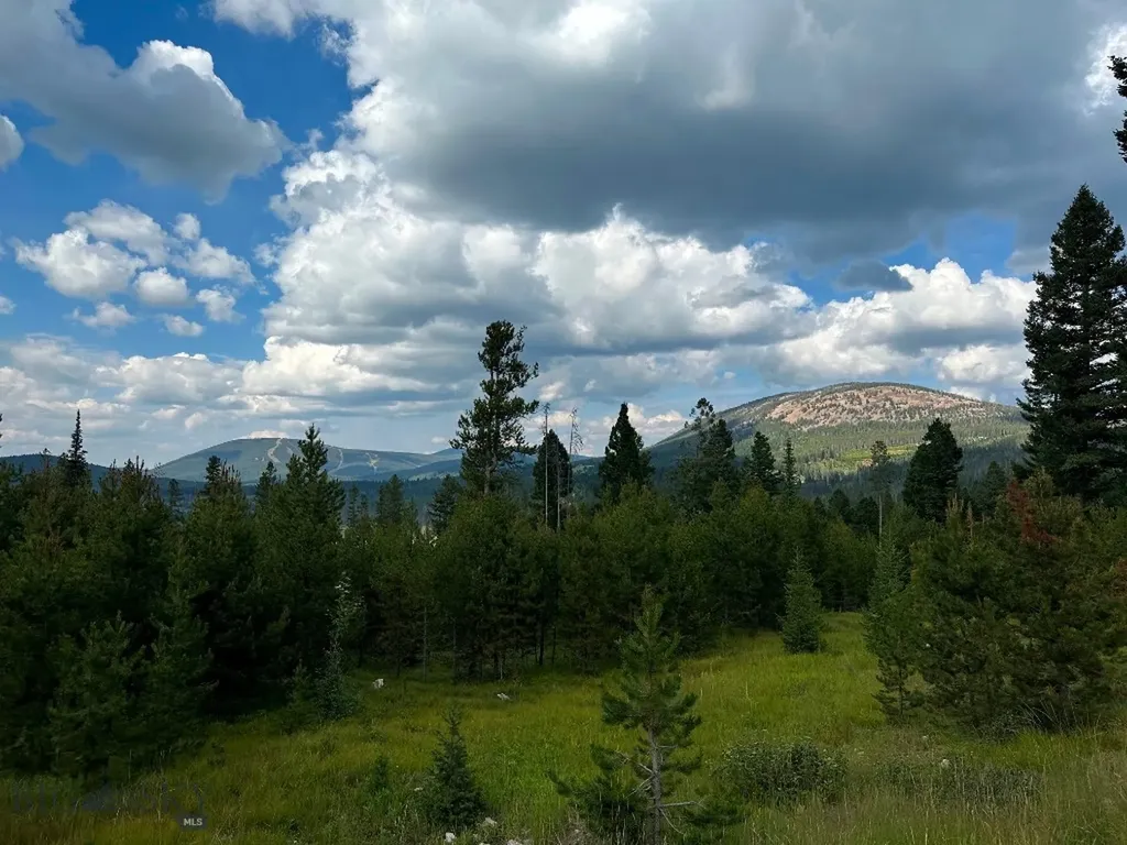 13 Discovery View Lane Anaconda MT 59711