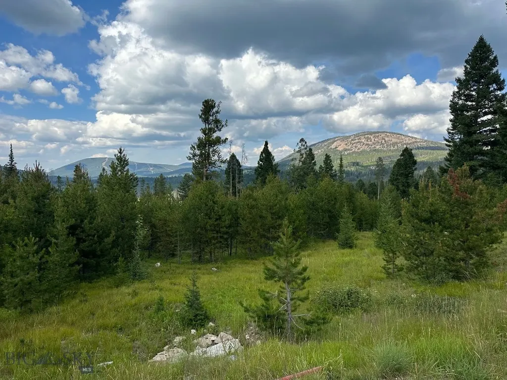 13 Discovery View Lane Anaconda MT 59711