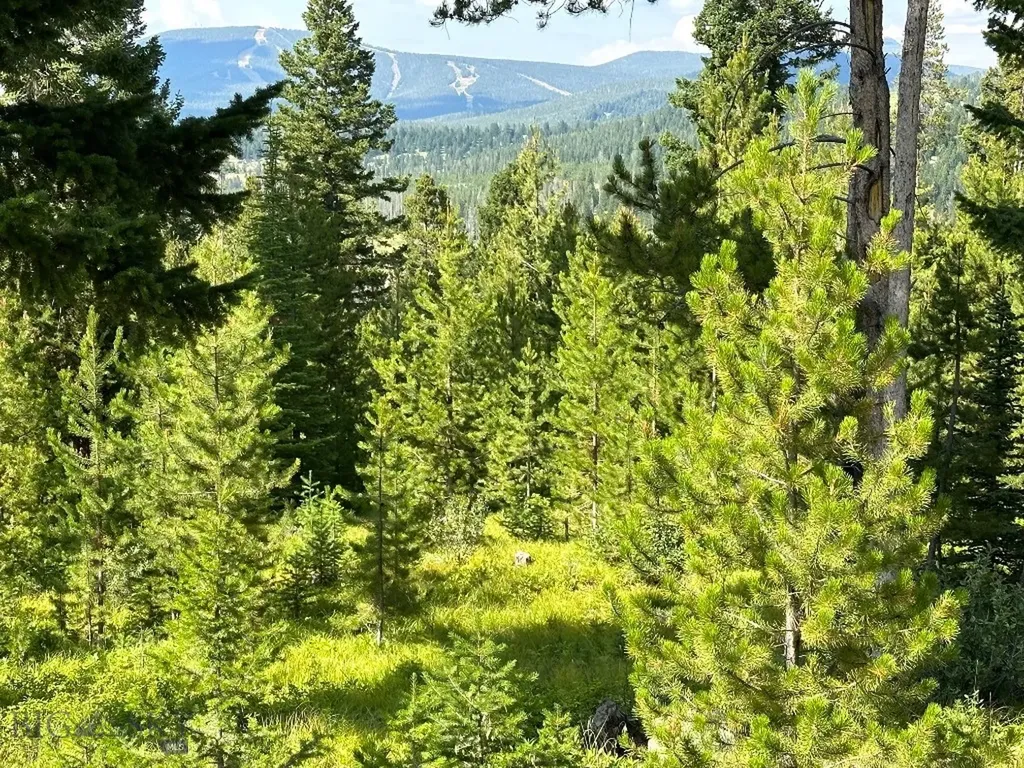 13 Discovery View Lane Anaconda MT 59711