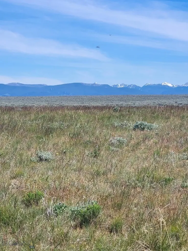 3401 Steel Creek Road Wisdom MT 59761