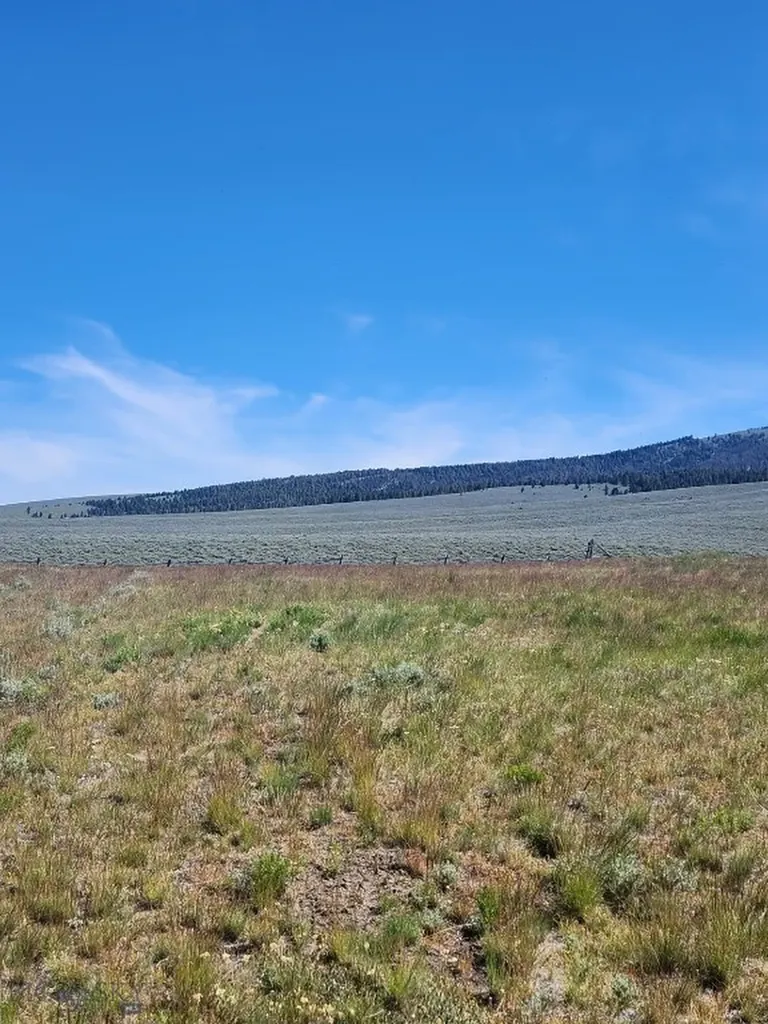 3401 Steel Creek Road Wisdom MT 59761
