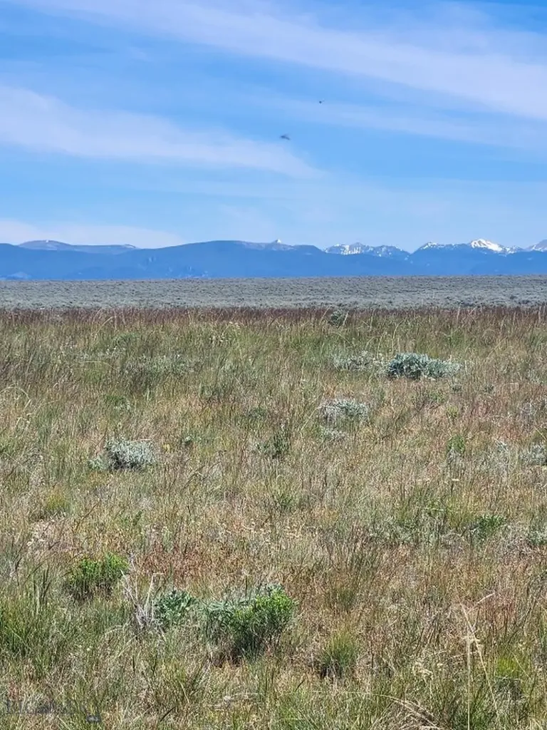 3401 Steel Creek Road Wisdom MT 59761