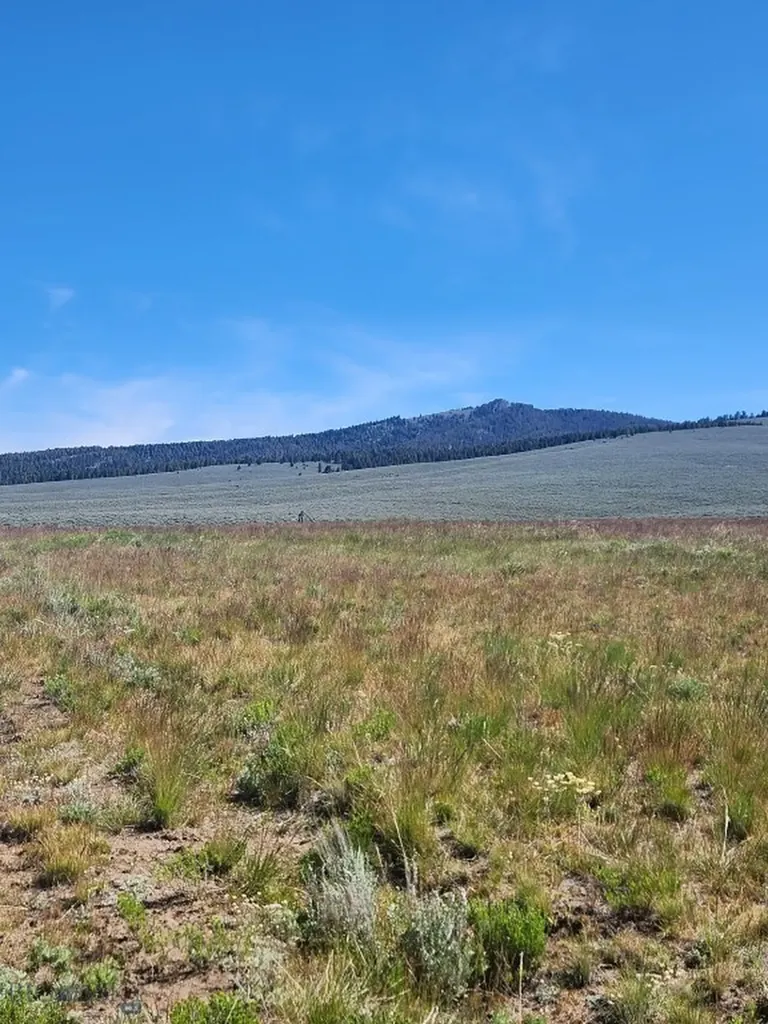 3401 Steel Creek Road Wisdom MT 59761