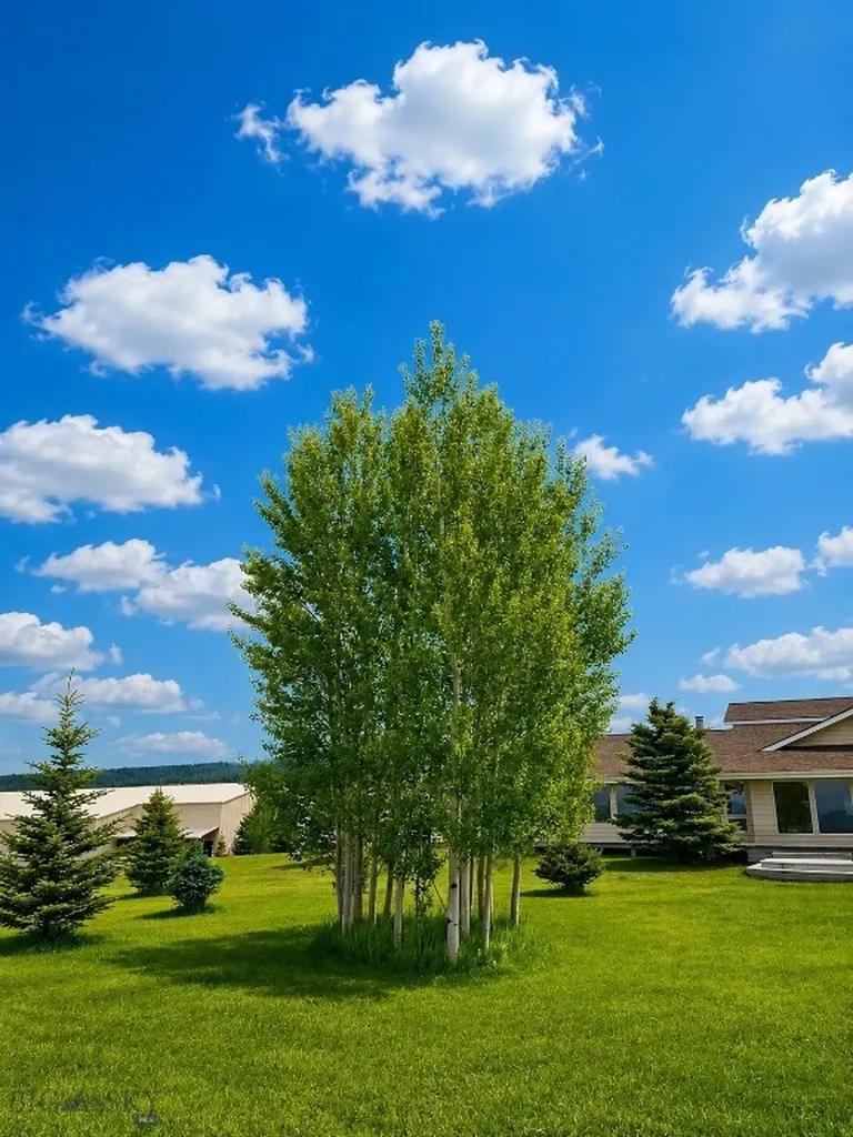 3401 Steel Creek Road Wisdom MT 59761