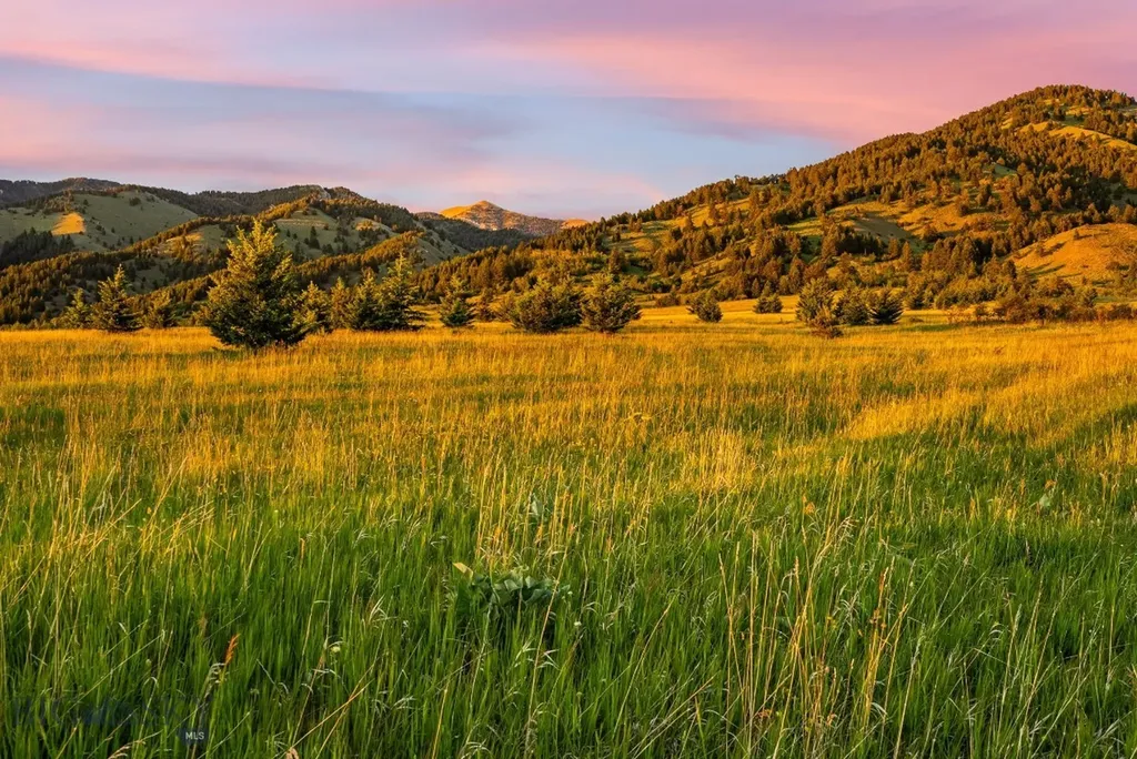 Tbd Sypes Canyon Spur Road Bozeman MT 59715