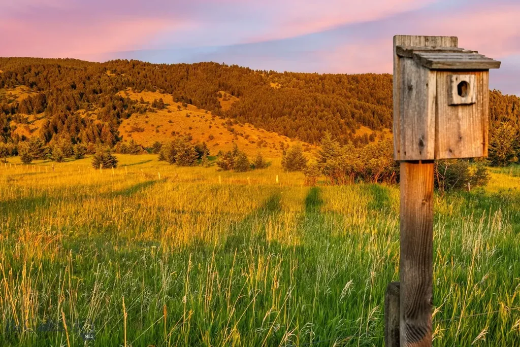 Tbd Sypes Canyon Spur Road Bozeman MT 59715