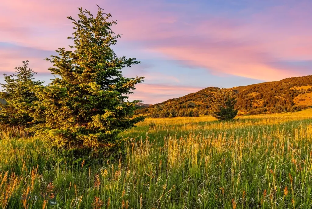 Tbd Sypes Canyon Spur Road Bozeman MT 59715