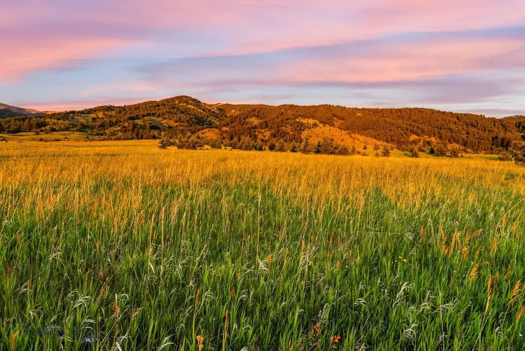 Tbd Sypes Canyon Spur Road Bozeman MT 59715
