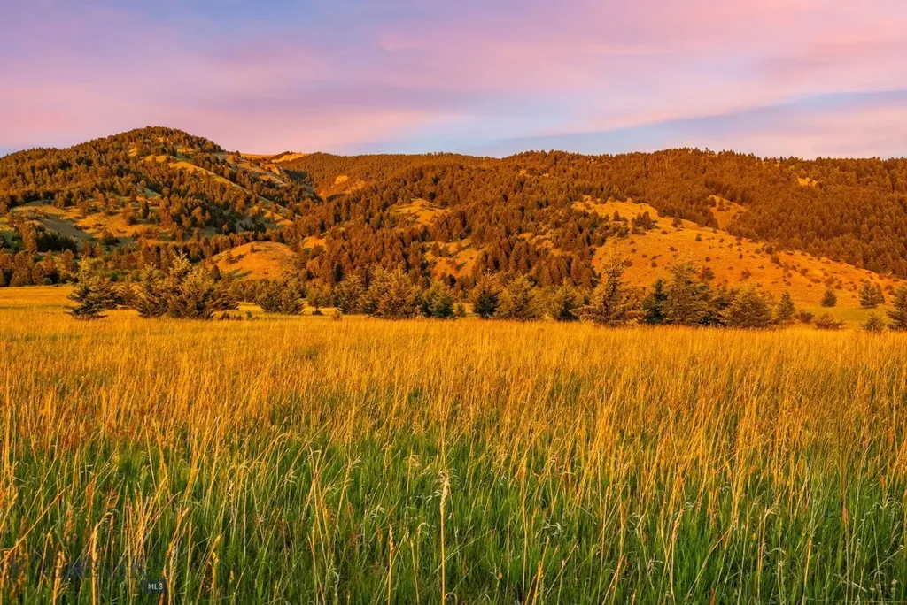 Tbd Sypes Canyon Spur Road Bozeman MT 59715