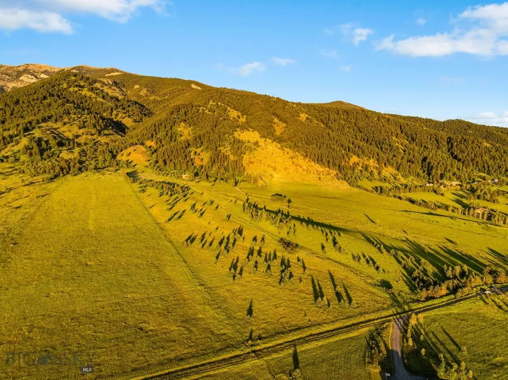 Tbd Sypes Canyon Spur Road Bozeman MT 59715