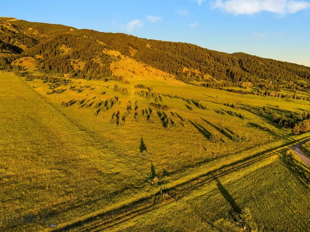 Tbd Sypes Canyon Spur Road Bozeman MT 59715