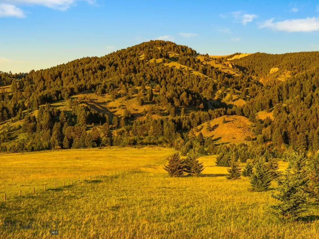 Tbd Sypes Canyon Spur Road Bozeman MT 59715