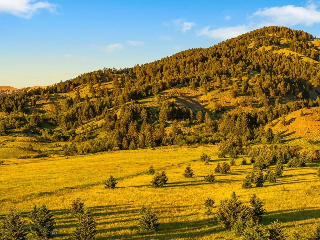 Tbd Sypes Canyon Spur Road Bozeman MT 59715